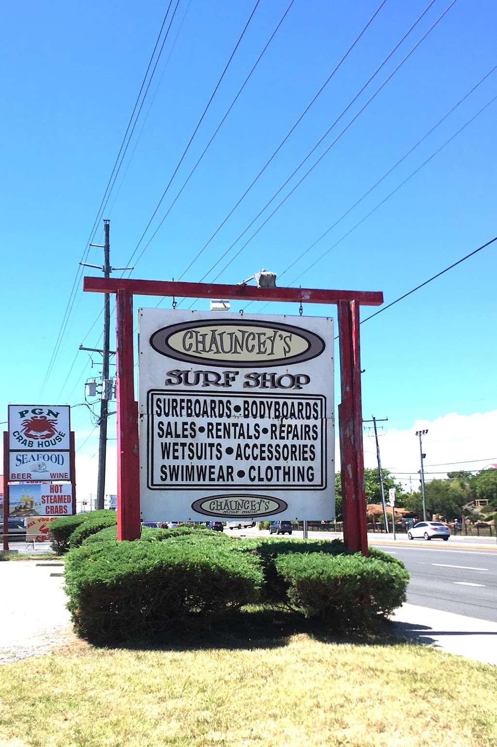 Chaunceys Surf Shop South | 2908 Coastal Hwy, Ocean City, MD 21842, USA | Phone: (410) 289-1151