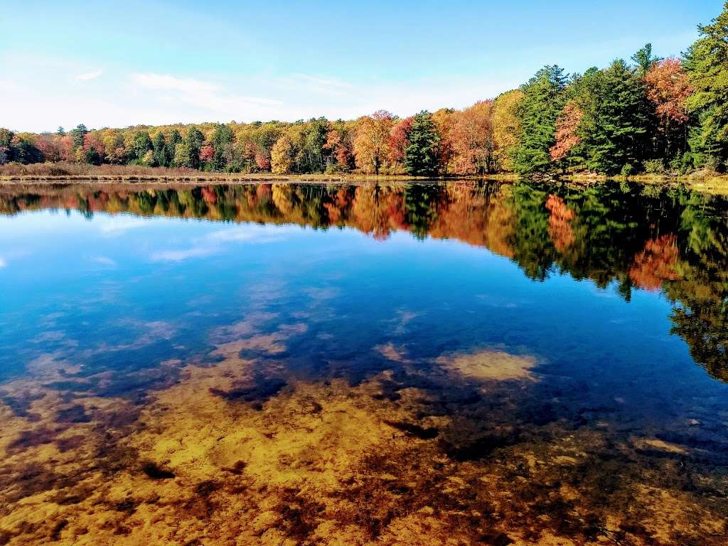 Stokes State Forest | 1 Coursen Rd, Branchville, NJ 07826, USA | Phone: (973) 948-3820
