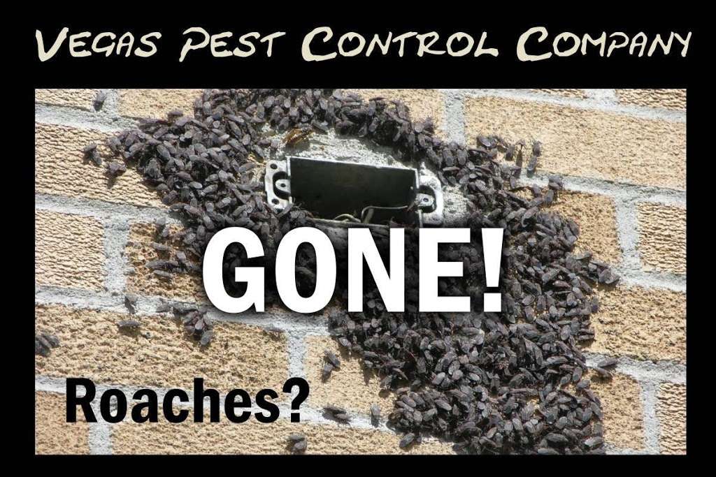 Vegas Pest Control | 5113 Jewel Canyon Dr, Las Vegas, NV 89122, USA | Phone: (702) 608-9028
