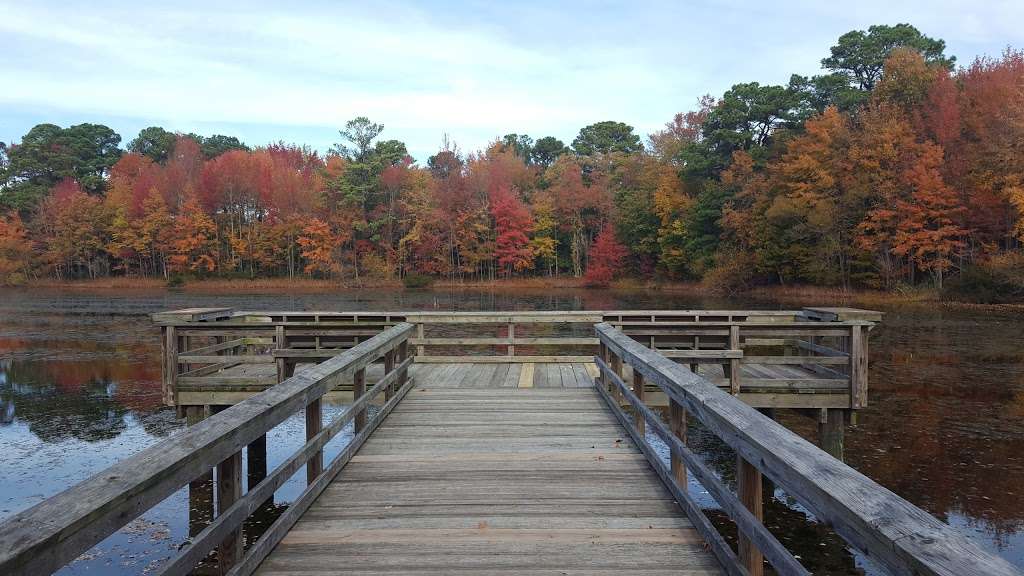 Ewing Pond Park | Main St, Grasonville, MD 21638, USA | Phone: (410) 758-0835