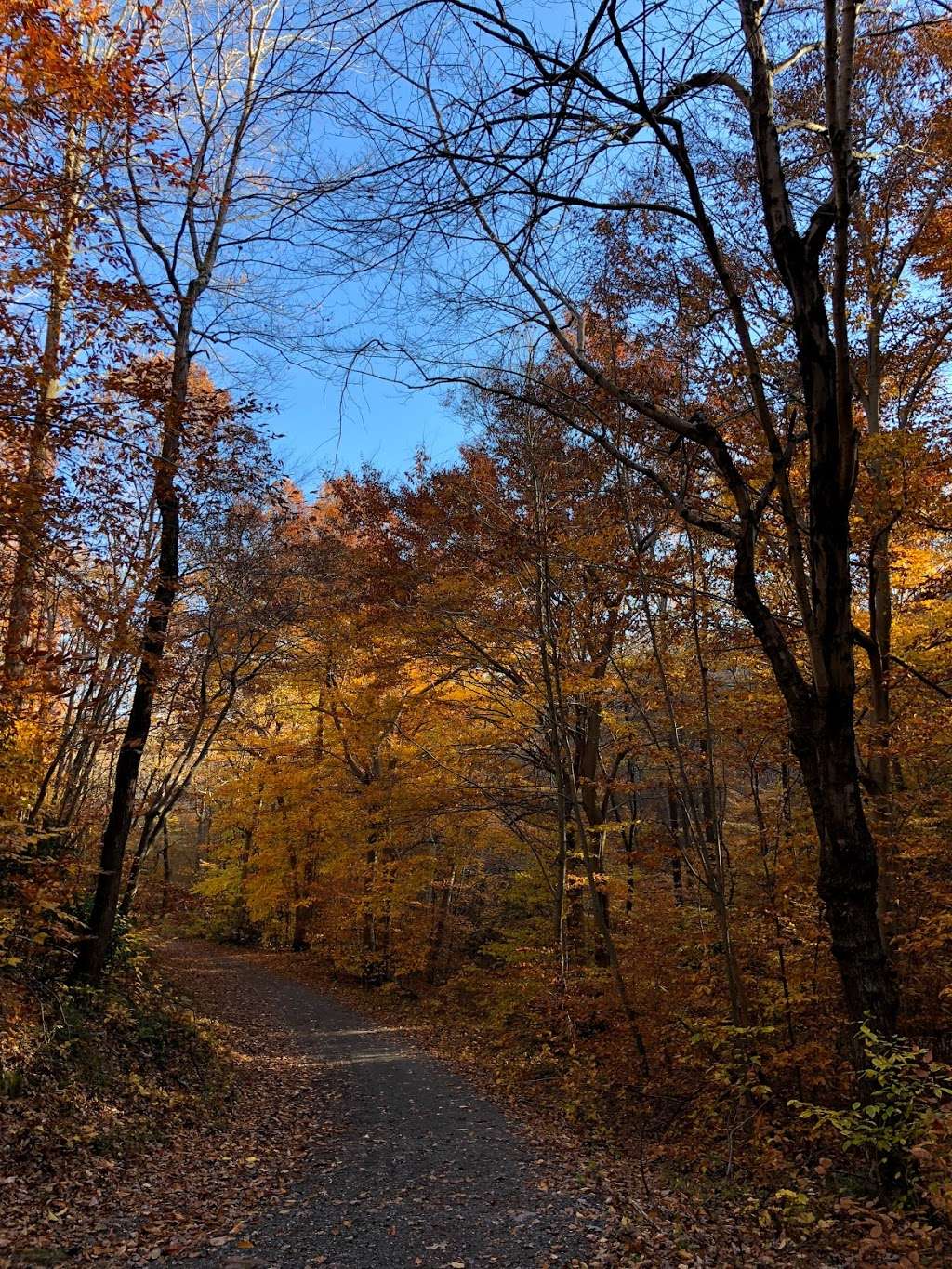 Parking & Access for Birdboro Waters | Birdsboro, PA 19508, USA