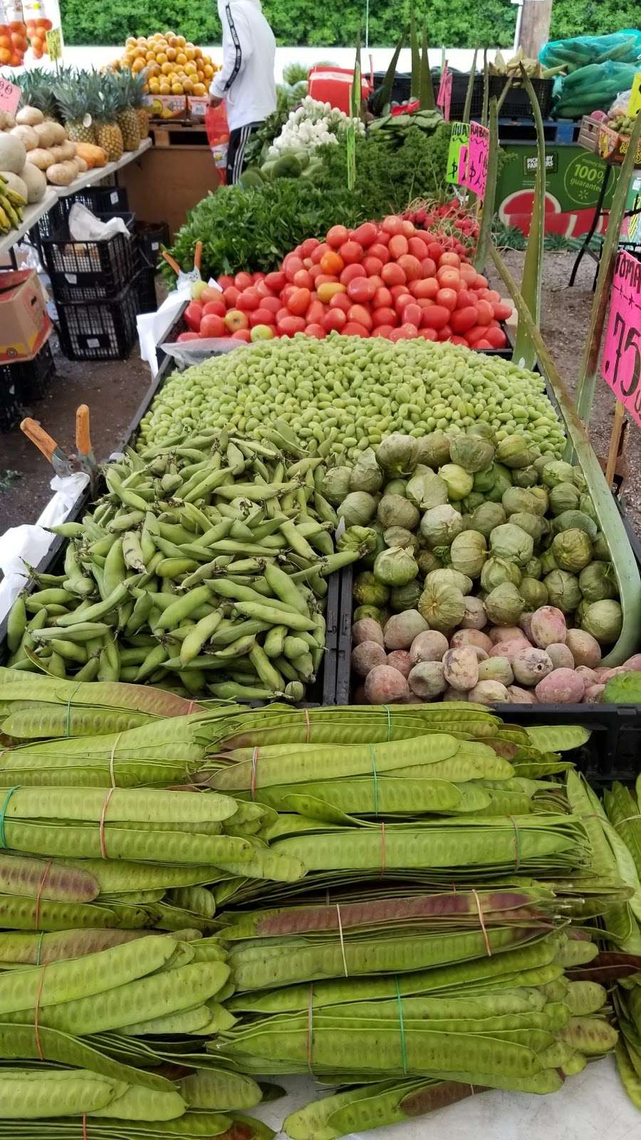 FRUTERIA: EL KOKO LOKO Verduras Y Vejetales | 27668 FM 1485, New Caney, TX 77357, USA | Phone: (832) 970-4072