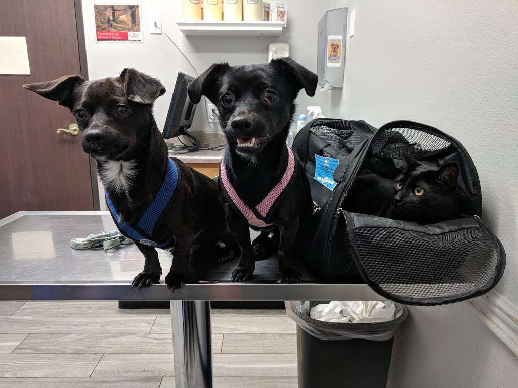 Norco Animal Hospital | 892 Sixth St, Norco, CA 92860, USA | Phone: (951) 736-1917