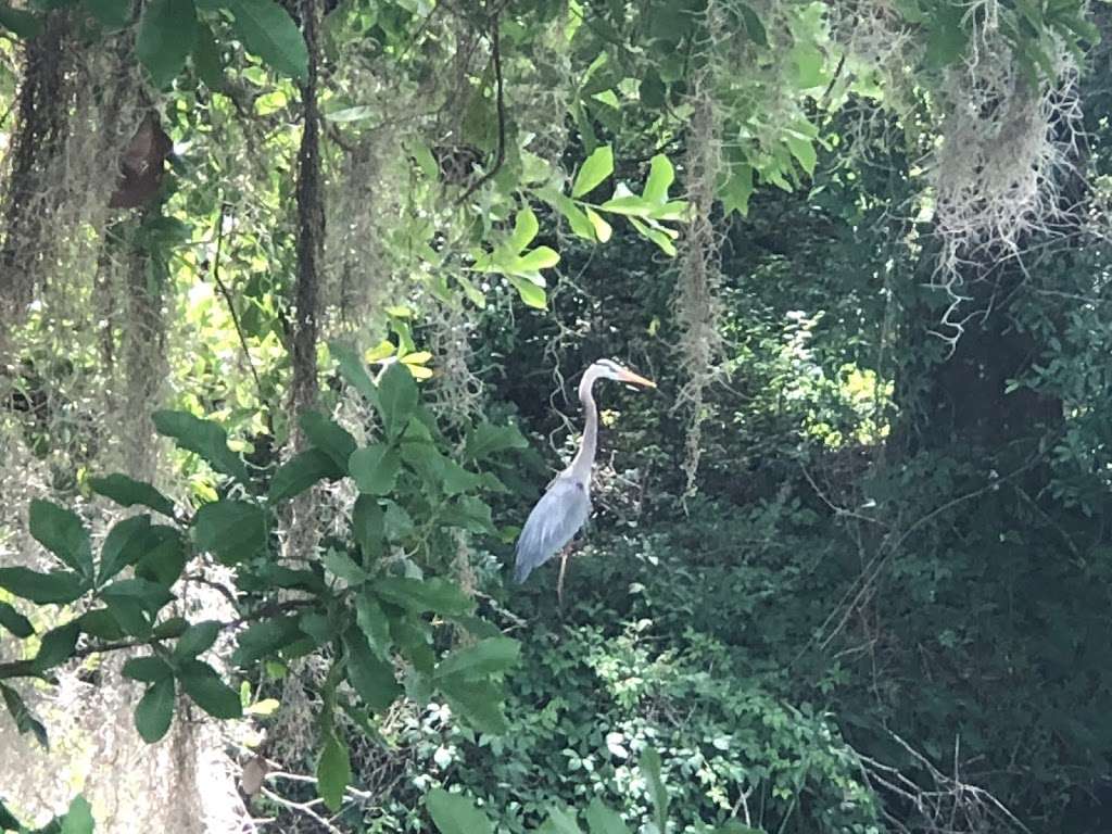 Clay Island Trailhead | Clermont, FL 34715, USA