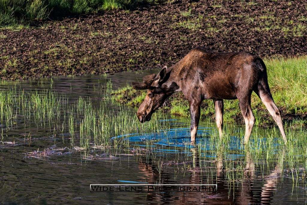 Sheep Lakes Information Station | US-34, Estes Park, CO 80517, USA | Phone: (970) 586-1206