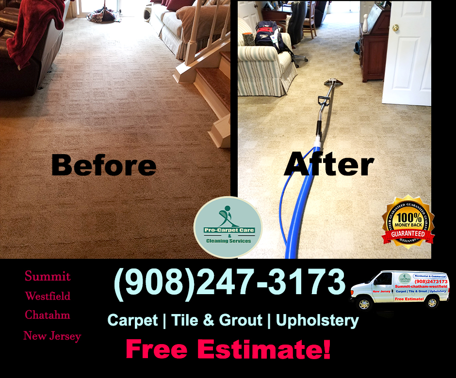 Pro Carpet Care & Cleaning services LLC - New Jersey | 68 Ashwood Ave, Summit, NJ 07901, USA | Phone: (908) 247-3173