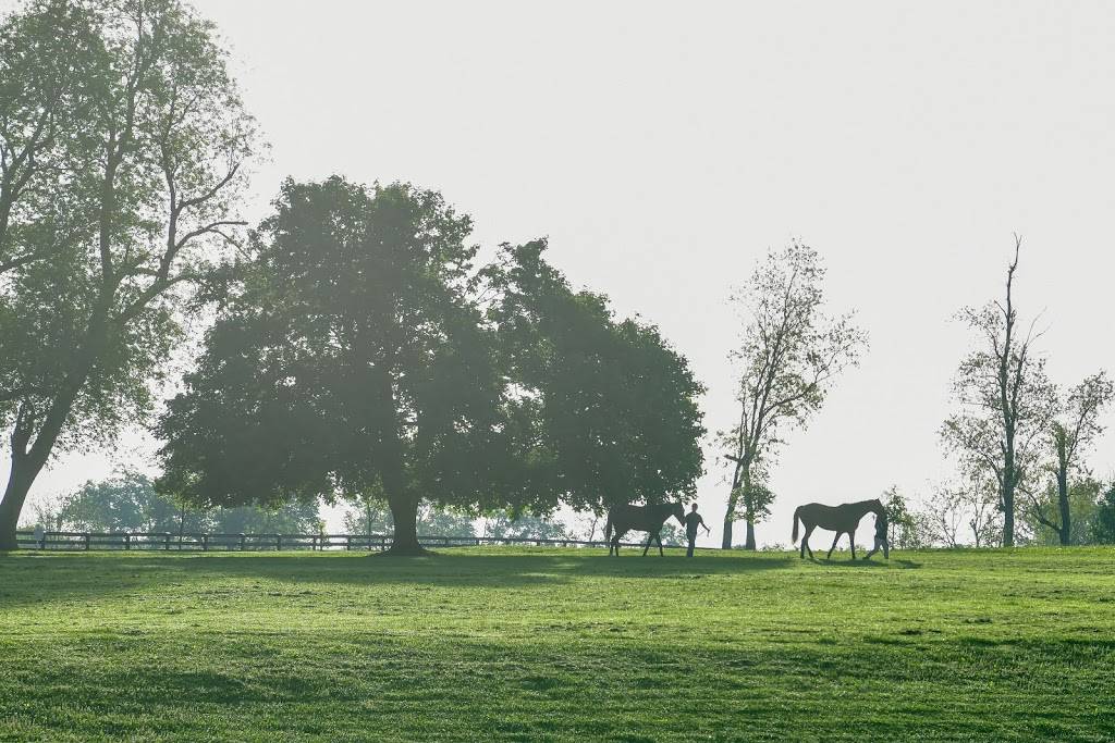 Blackwood Stables | 1217 Hedden Rd, Versailles, KY 40383 | Phone: (859) 256-0083