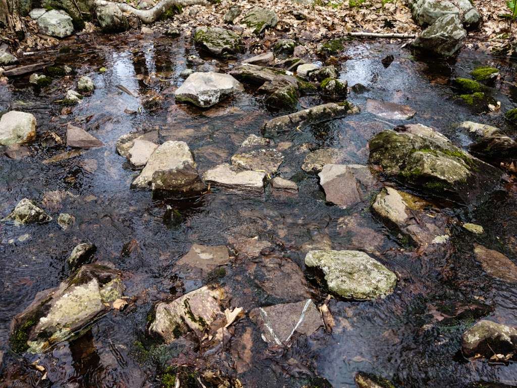 Appalachian Trail | Hewitt, NJ 07421, USA