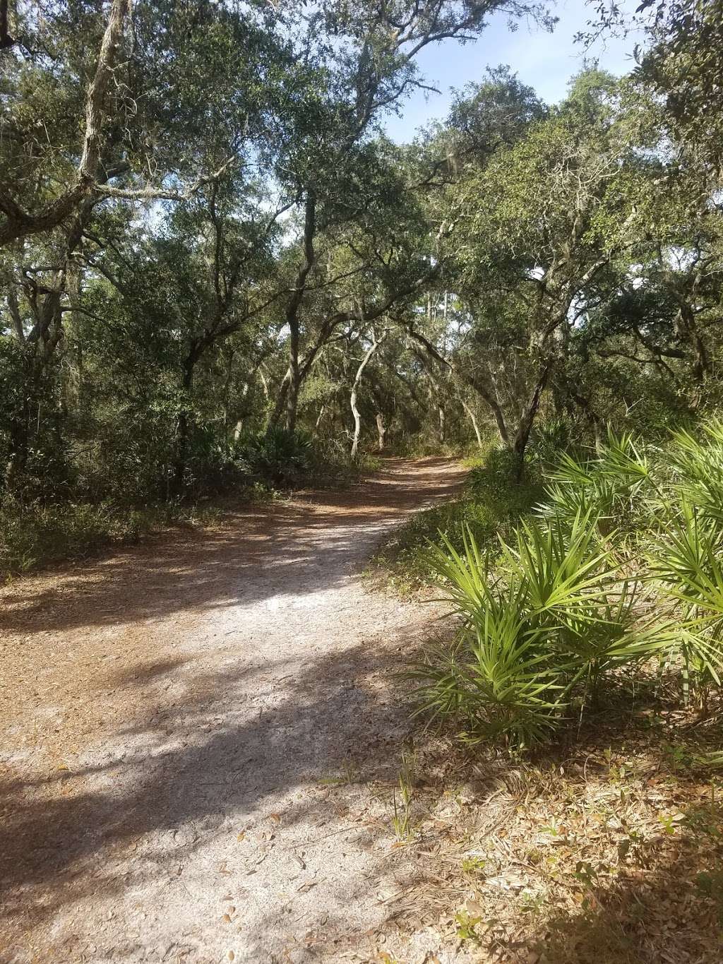 Lake Proctor Wilderness Area | 920 FL-46, Geneva, FL 32732, USA | Phone: (407) 349-0769