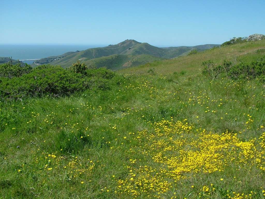 Slackers Hill | Sausalito, CA 94965, USA