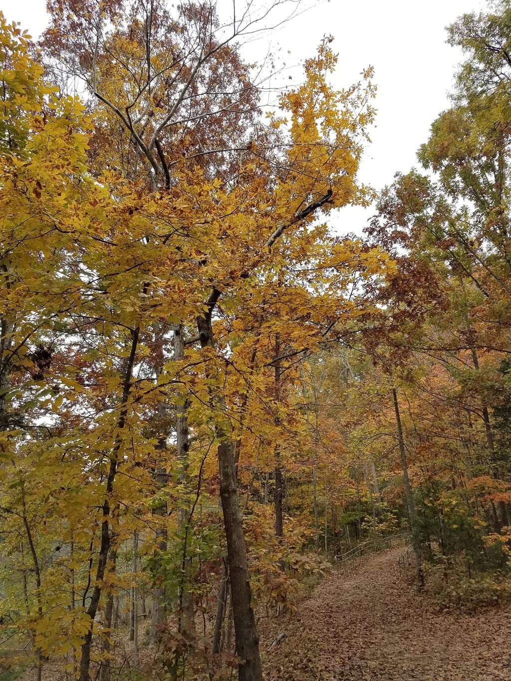 Reedy Creek Park Shelter 4 | 2900 Rocky River Rd, Charlotte, NC 28213, USA | Phone: (980) 314-1001