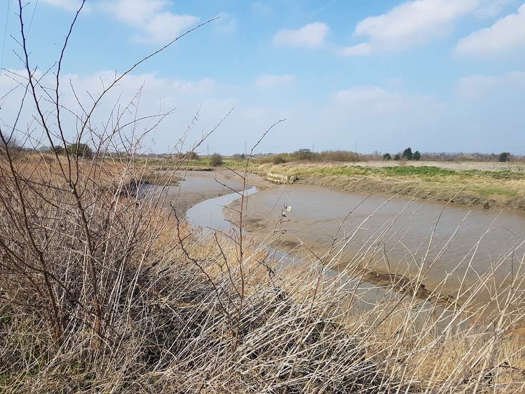 Essex Wildlife Trust Thurrock Thameside Nature Park | Mucking Wharf Rd, Stanford-le-Hope SS17 0RN, UK | Phone: 01375 643342