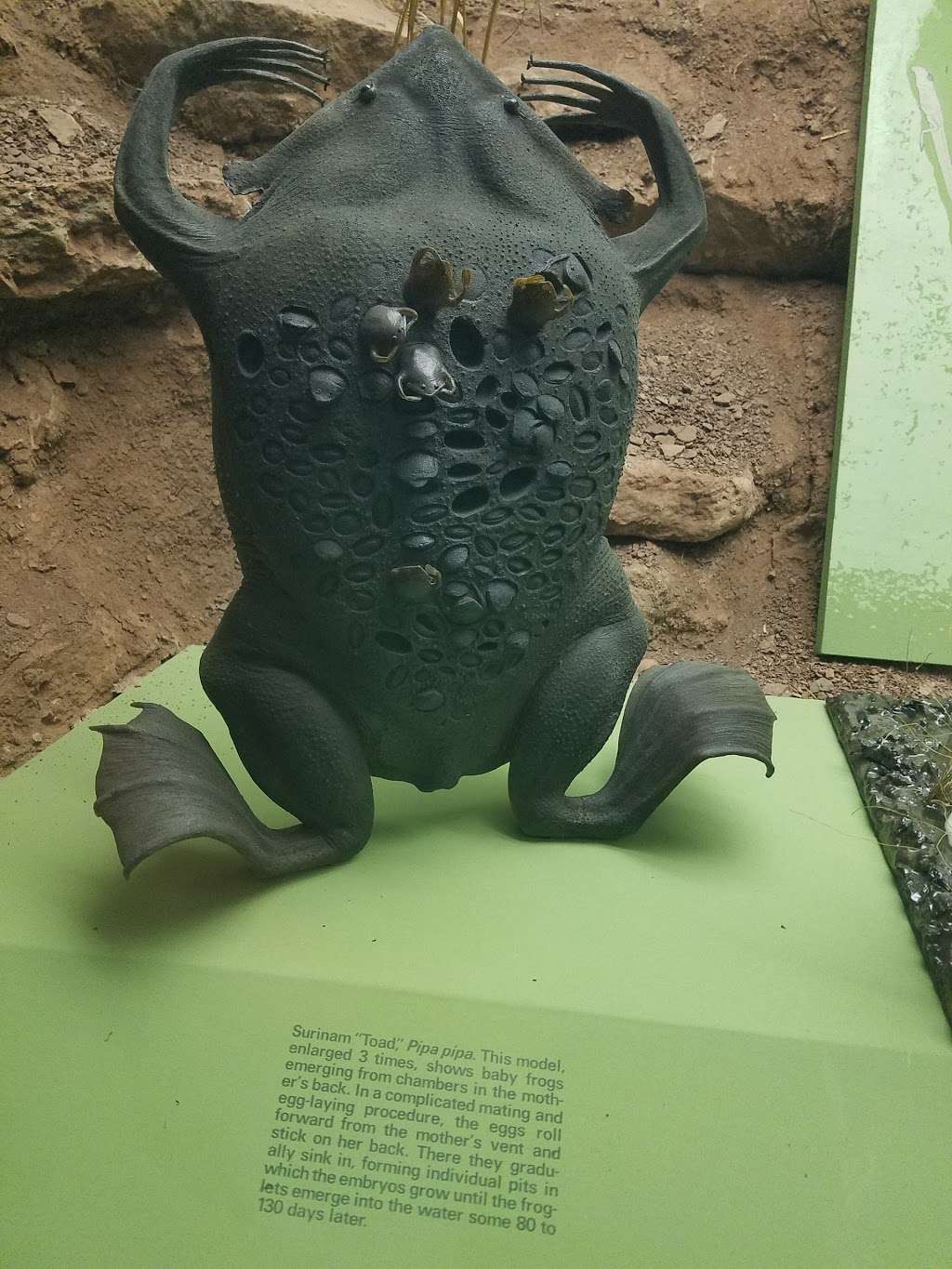 Bridge Marine Supply | 673 City Island Ave, Bronx, NY 10464, USA | Phone: (718) 885-2302