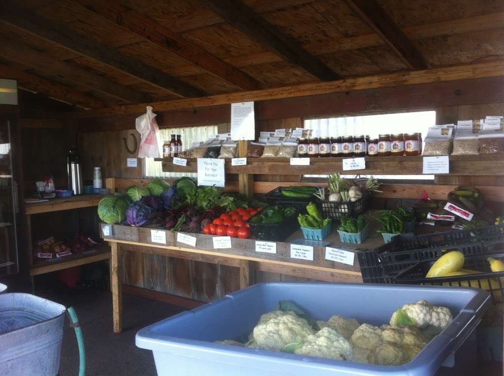 Bountiful Blessings Farm Produce | 15565 McGirr Rd, Hinckley, IL 60520 | Phone: (320) 217-9253