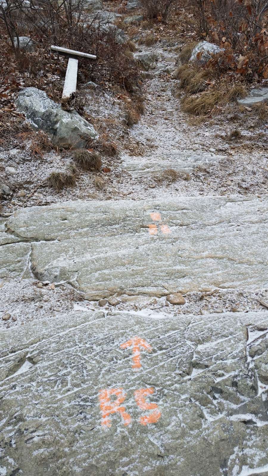 Rattlesnake Trail | Blairstown, NJ 07825, USA