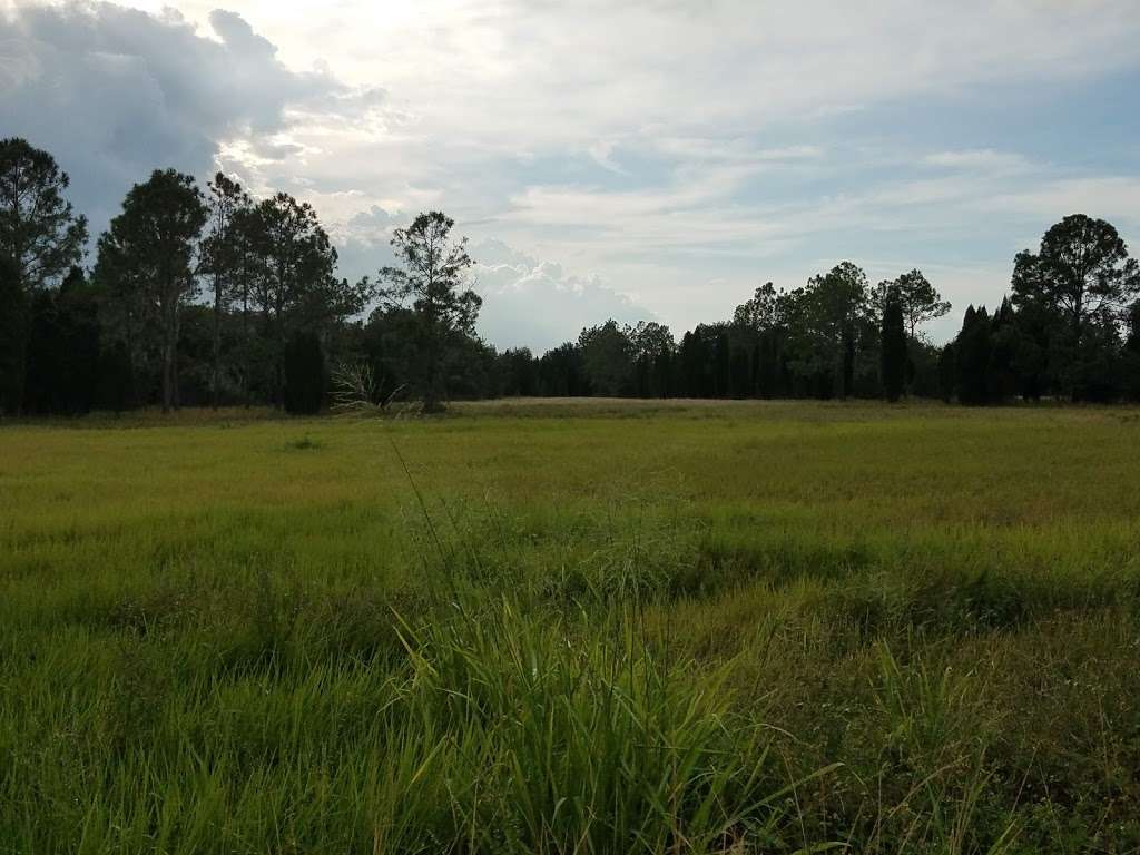 Seven Wetlands | Bartow, FL 33830, USA