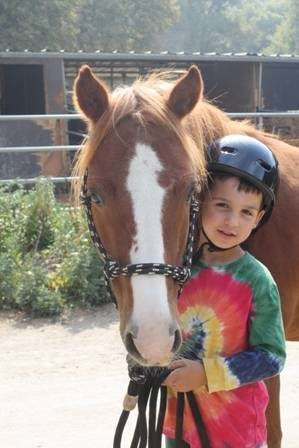Horse Sense Education & Advocacy | Covered Bridge Equestrian Center, 220 Covered Bridge Rd N, Felton, CA 95018, USA | Phone: (831) 316-4773