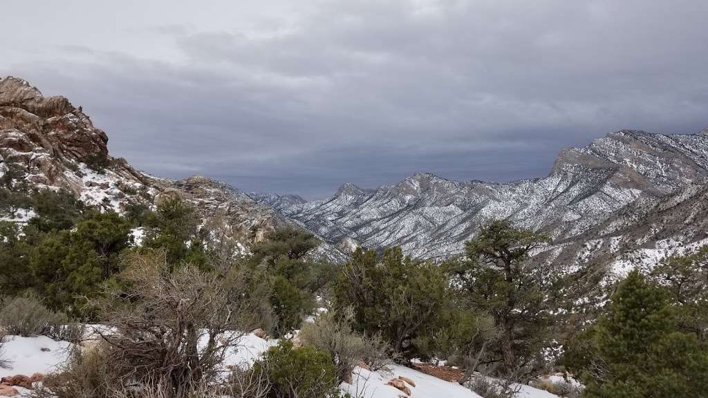 White Rock Trailhead | Red Rock Canyon Rd, Las Vegas, NV 89161, USA