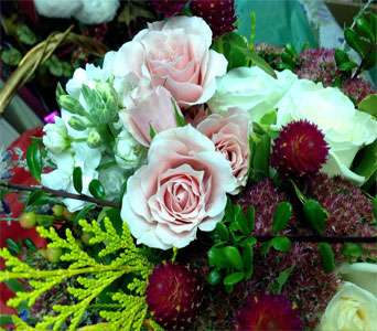 Annabelles Flowers, Gifts & More | 108 W Main St, Norton, MA 02766, USA | Phone: (508) 285-6400