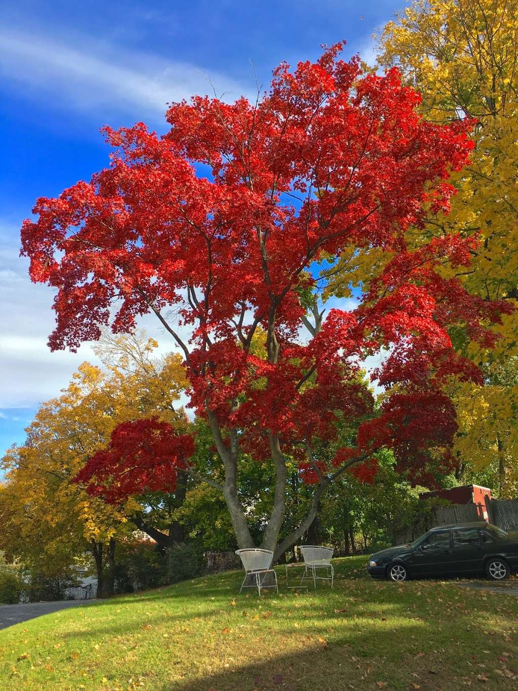 Zion Episcopal Church | 55 Cedar St, Dobbs Ferry, NY 10522, USA | Phone: (914) 693-9320