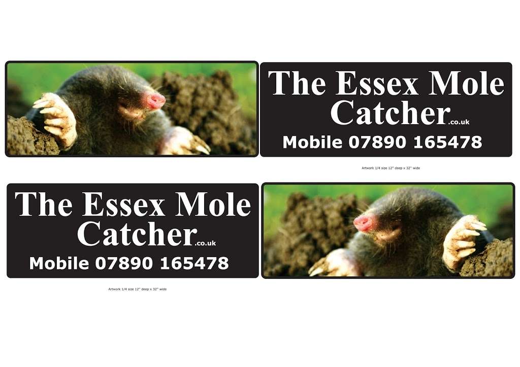 The Essex Mole Catcher | 19 Worrin Rd, Dunmow CM6 3FU, UK | Phone: 01371 820892