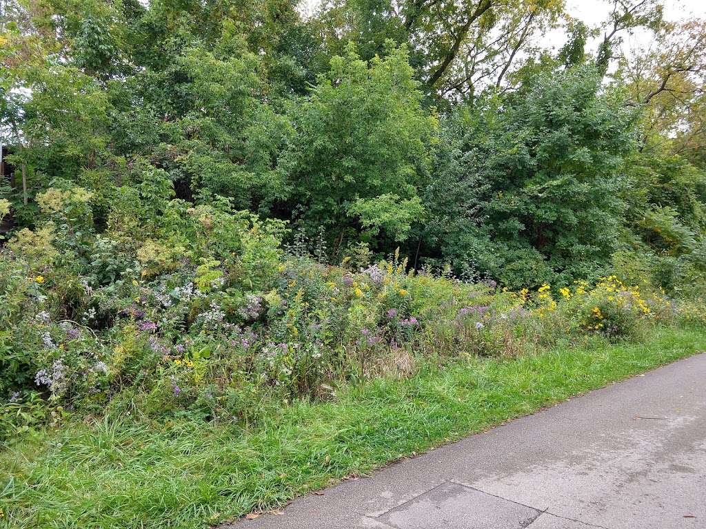 Riverside Park | 1500 E Riverside Pl, Milwaukee, WI 53211, USA | Phone: (414) 962-8809
