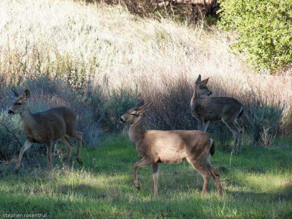 Inspiration Point | San Jose, CA 95127, USA | Phone: (408) 259-5477