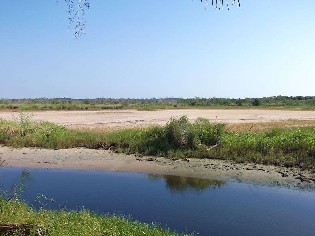 Salt Lake Wildlife Management Area | Mims, FL 32754, USA