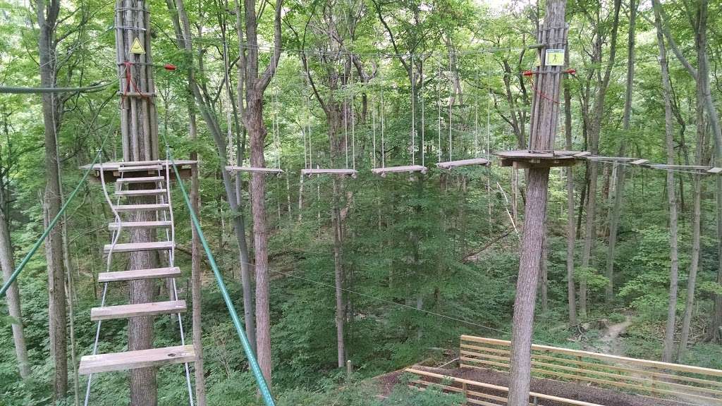 Go Ape | 5901 Delong Rd, Indianapolis, IN 46254, USA | Phone: (800) 971-8271