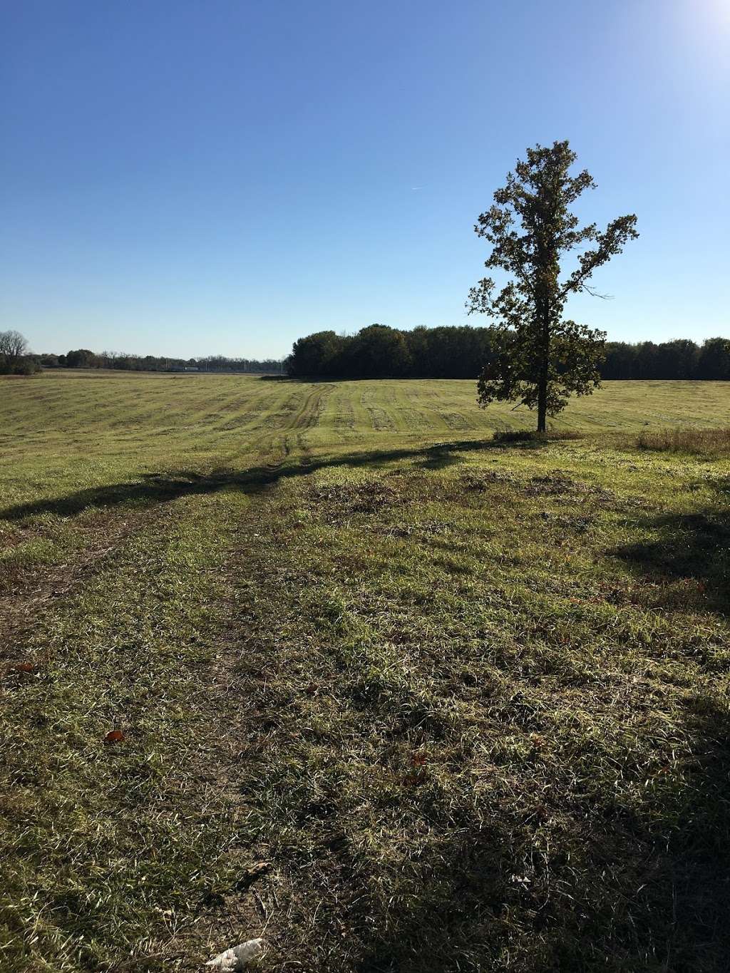 Grassy Ridge Meadow | Hoffman Estates, IL 60192, USA