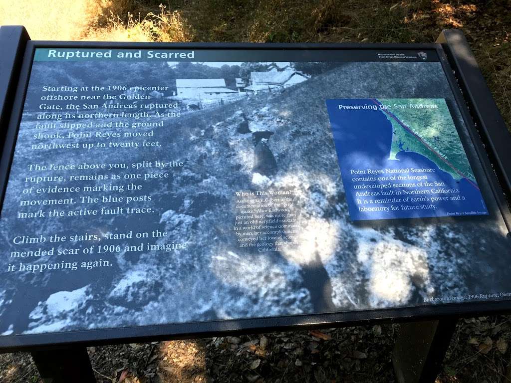 Earthquake Trailhead | 1, Bear Valley Rd, Point Reyes Station, CA 94956, USA