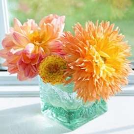 Dahlia Temptations | 757 Sweet Hollow Rd, Bloomsbury, NJ 08804 | Phone: (908) 310-9520