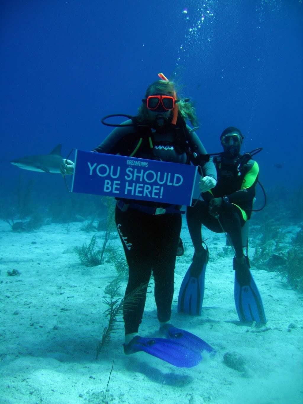 Twin Fish Interline Travel | 866 NW 39th Ave, Delray Beach, FL 33445, USA | Phone: (561) 495-6180 Twin Fish Interline Travel | 866 NW 39th Ave, Delray Beach, FL 33445, USA | Phone: (561) 495-6180