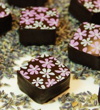 Choicolate - Artisan Chocolates | 700 E Sonterra Blvd #210, San Antonio, TX 78258, USA | Phone: (210) 495-2464