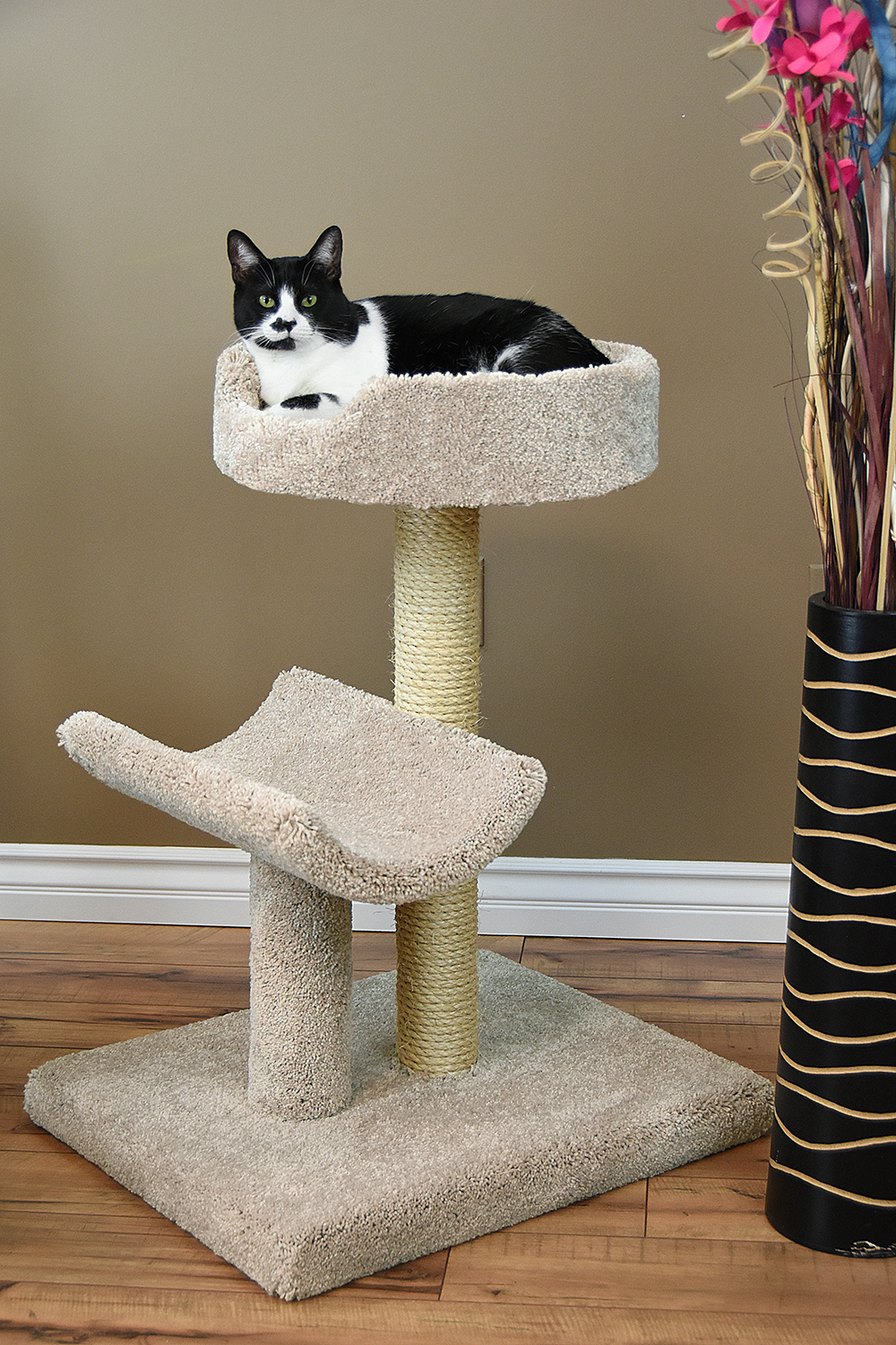 Cats Are Inn-Low Cost Factory Outlet Cat Trees | 2 W Topeka Dr, Phoenix, AZ 85027 | Phone: (623) 980-2077