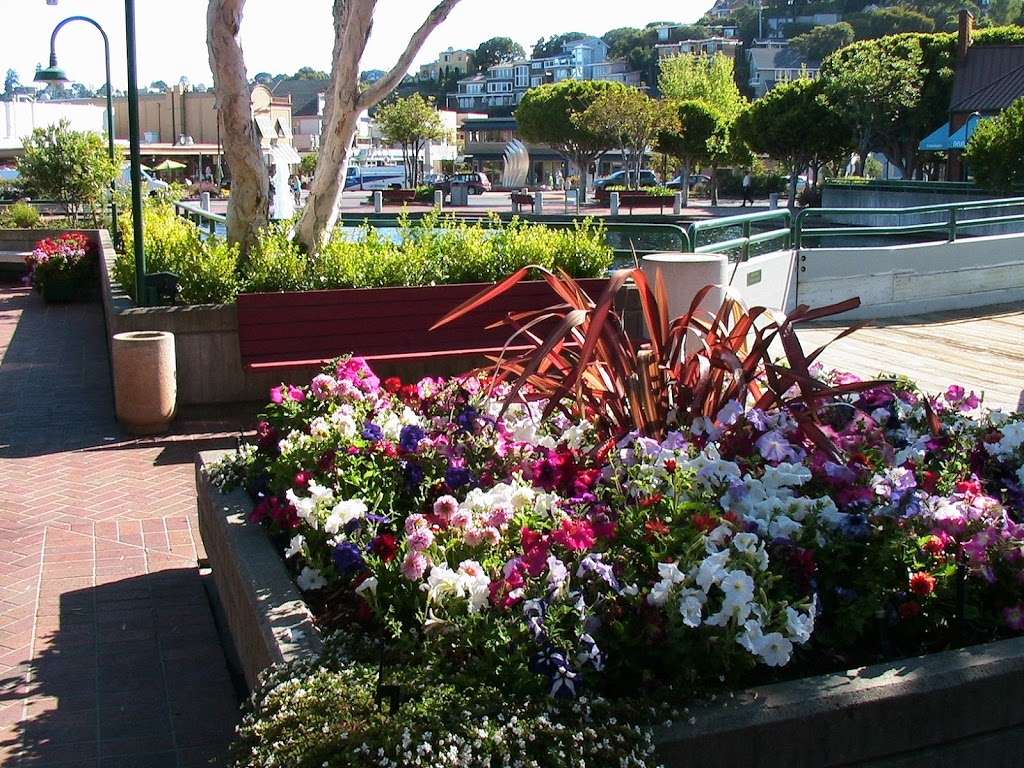 Point Tiburon Plaza Inc Parking | 1701 Tiburon Boulevard Belvedere, Tiburon, CA 94920 | Phone: (415) 435-5400