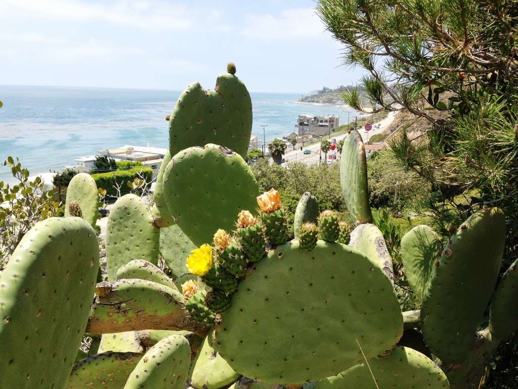 Corral State Beach | Malibu, CA 90265, USA