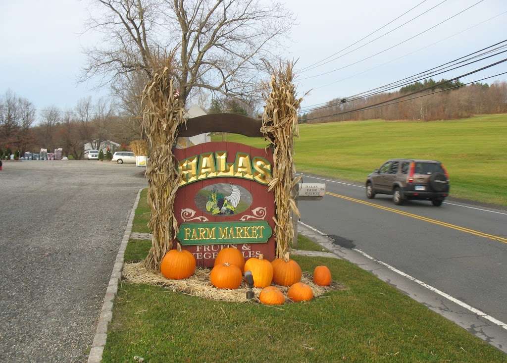 Halas Farm Market | 28 Pembroke Rd, Danbury, CT 06811, USA | Phone: (203) 746-4606