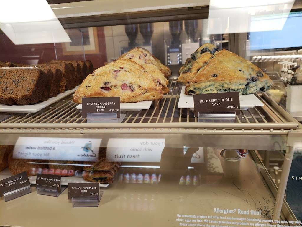 Caribou Coffee | Concourse C, 8500 Peña Blvd, Denver, CO 80249, USA | Phone: (303) 342-6900