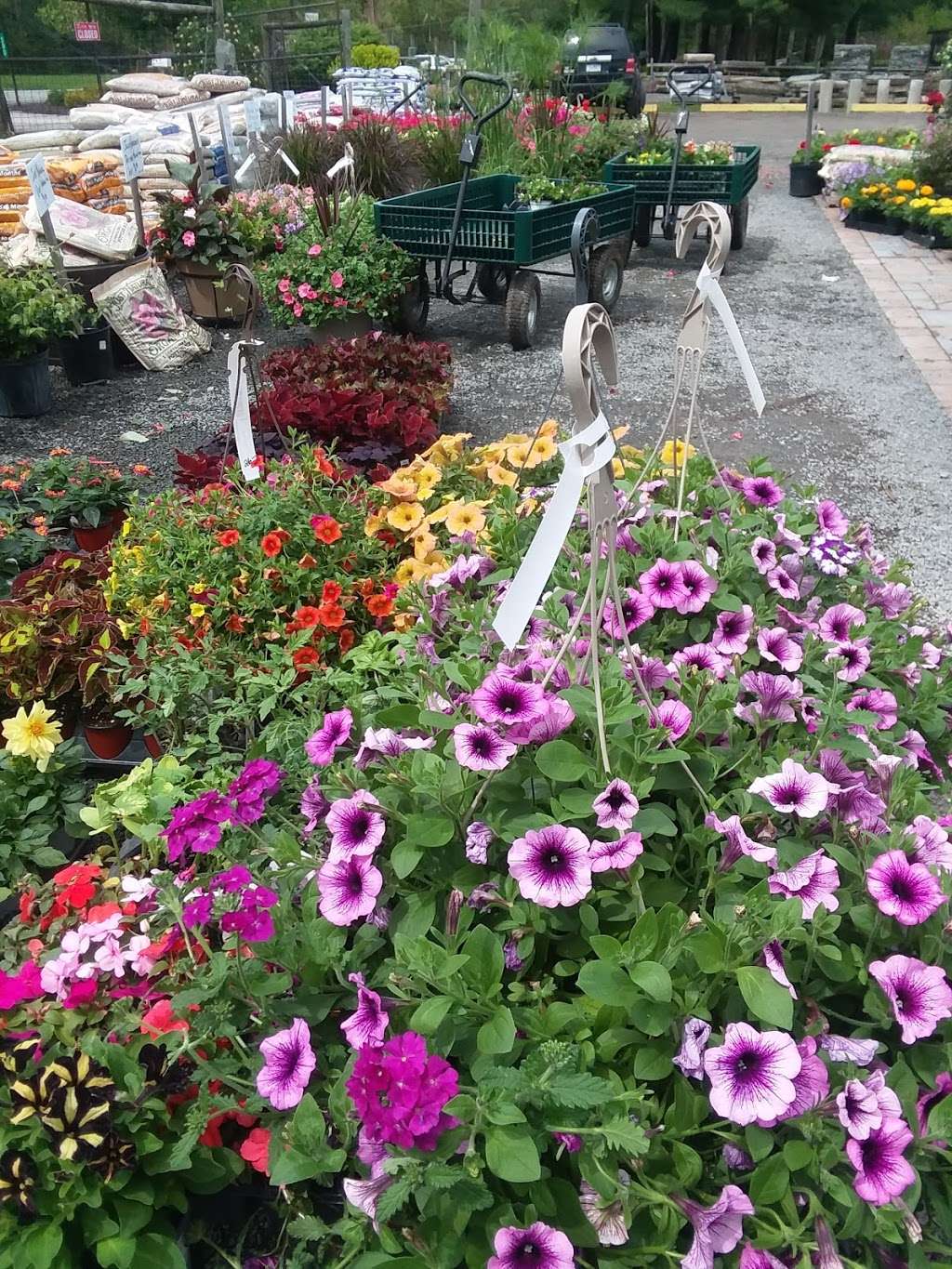 Brick House Garden Center | 990 PA-434, Greeley, PA 18425, USA | Phone: (570) 949-4100