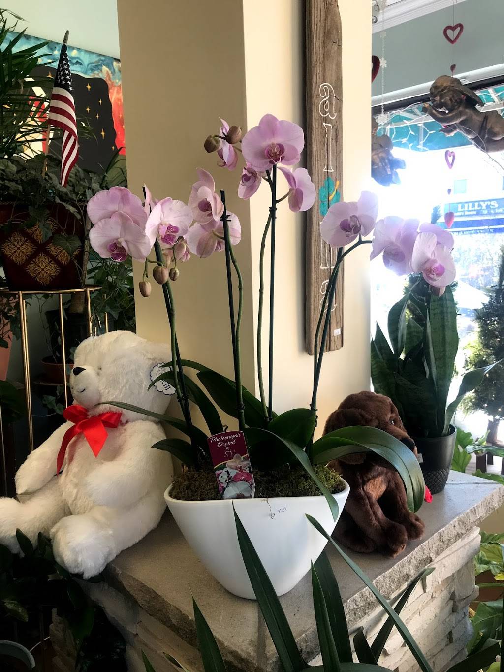 Long Beach Florist, Inc. | 955 W Beech St, Long Beach, NY 11561, USA | Phone: (516) 432-1021