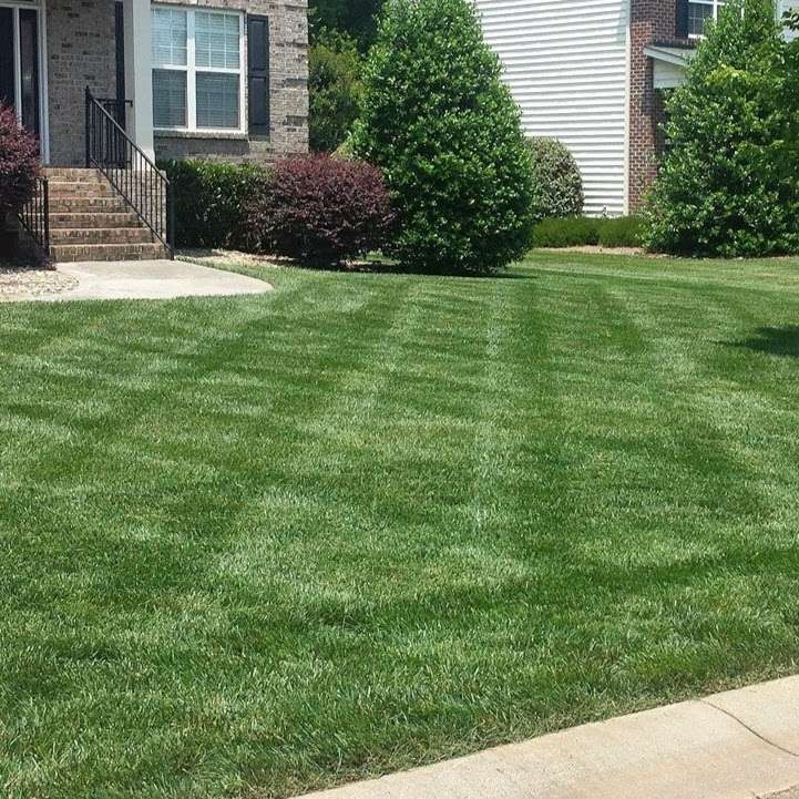 Dynamic Landscape Services | 262 Judas Rd, Mooresville, NC 28117, USA | Phone: (704) 660-9802