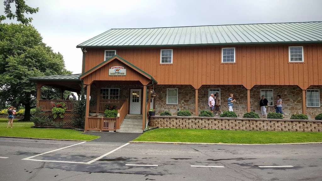 Lapp Valley Farms | 244 Mentzer Rd, New Holland, PA 17557, USA | Phone: (717) 354-7988