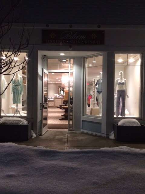 Bloom Lingerie and Swim Boutique | 132 Chief Justice Cushing Hwy, Cohasset, MA 02025 | Phone: (781) 923-1454