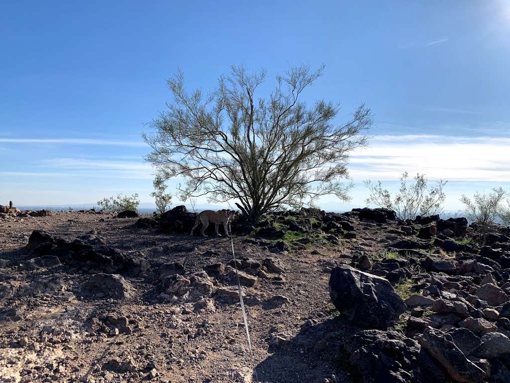 Thunderbird Conservation Park Trail | 5486 W Pinnacle Peak Rd, Glendale, AZ 85310, USA