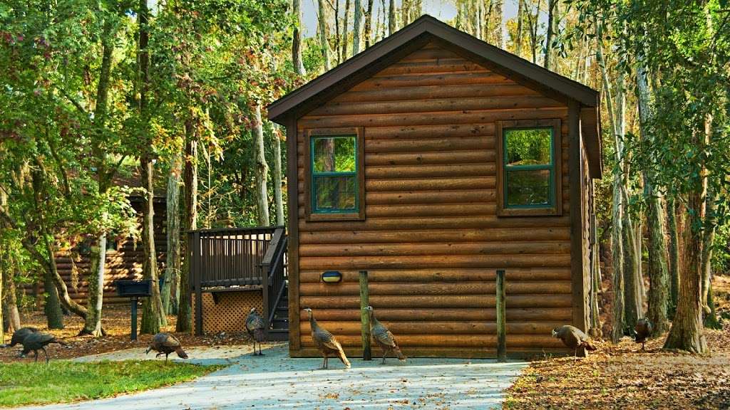 The Cabins at Disneys Fort Wilderness Resort | 4510 N Fort Wilderness Trail, Orlando, FL 32836 | Phone: (407) 824-2900