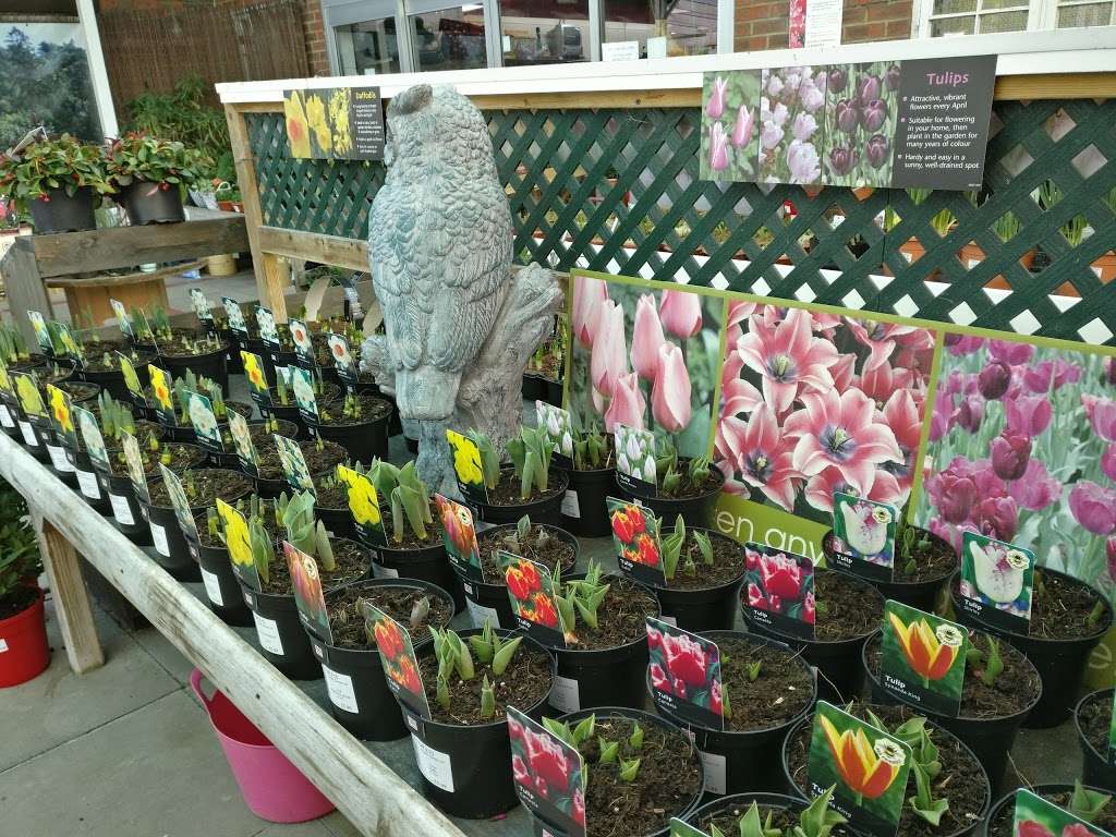 Knights Garden Centre | Woldingham Rd, Woldingham CR3 7LA, UK | Phone: 01883 653142