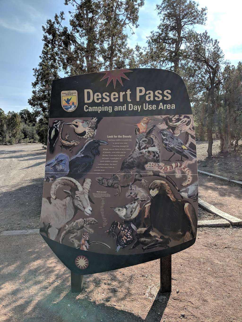 Desert Pass Campground | Mormon Well Rd, Moapa, NV 89025, USA