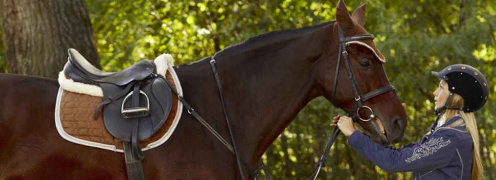 Echo Ridge Show Jumping | 2927 English Pl, Chino Hills, CA 91709, USA | Phone: (714) 396-9064