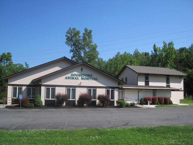 Goosepond Animal Hospital | 1110 New York State Route 17M, Monroe, NY 10950 | Phone: (845) 783-2333